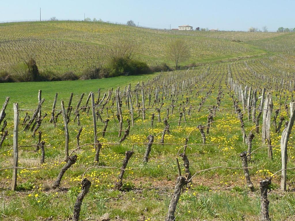 Le Dormeur Du Val Bed & Breakfast Le Mas-d'Agenais Luaran gambar